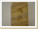 Fussspuren in Rainbowsandstein